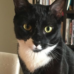 Meet your Posher, Maria